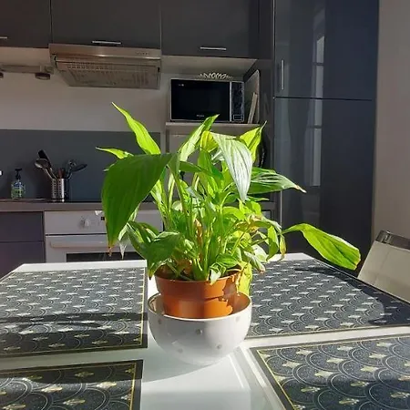 Les Angevines Apartment *