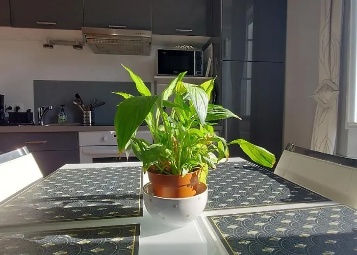 Les Angevines Apartamento *